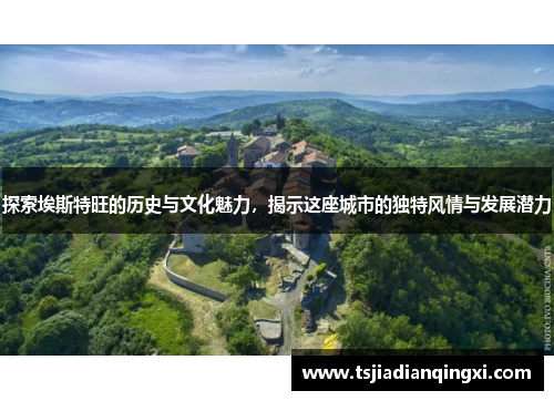 探索埃斯特旺的历史与文化魅力，揭示这座城市的独特风情与发展潜力